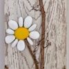 daisydrop68